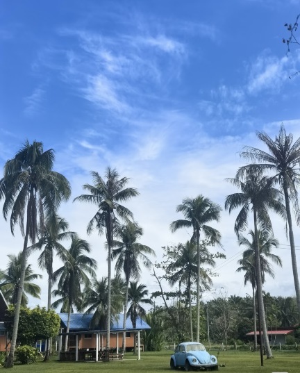 沙巴海龜苑紅樹林一日遊-中文導遊