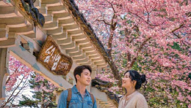 Nami Island + Petite France & Italian Village One Day Tour (From Seoul, English Guide)