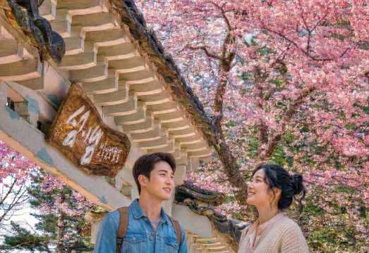Nami Island + Petite France & Italian Village One Day Tour (From Seoul, English Guide)