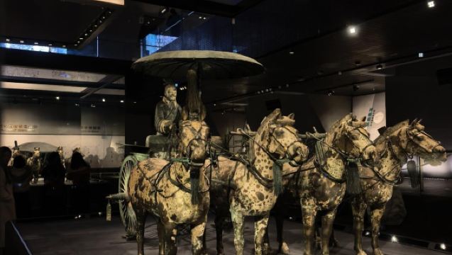 Partenza da Xi'an/noleggio con conducente esclusivo/guida/traduzione/lingue rare, benvenuti a contattarci