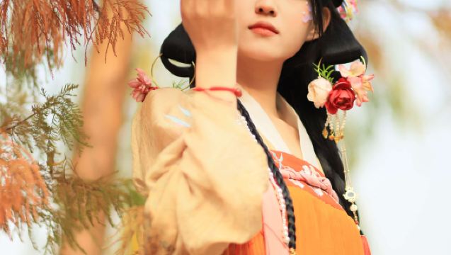 Trip Moments in He County[Travel Photography Promotional Videos, Short Films, Photos, Short Videos, Family-Friendly Children's Photography with All Original Files Included]