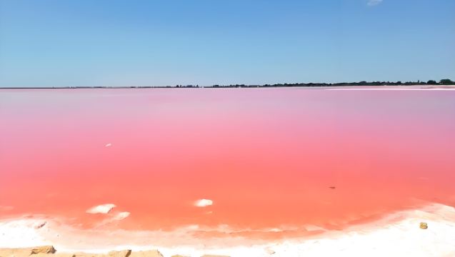 Laluan klasik tersembunyi Provence, Perancis: Tasik Garam Merah Jambu + Château des Baux + Carrières de Lumières
