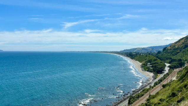 紐西蘭惠靈頓：吊橋+維多利亞山一日遊（專屬客服）