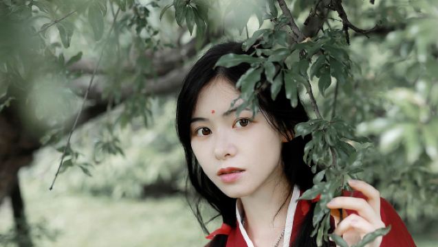 롄위안 여행 사진[사진작가 방문 촬영, 신생아 가족사진, 홍보 영상, 사진 및 단편 동영상, 포토샷, 웨딩 사진 원본 파일 모두 제공]