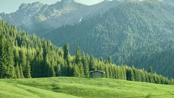 Ab Ürümqi, Xinjiang: Tagesausflug zum Nanshan Weideland und Tianshan Grand Canyon mit Hin- und Rückfahrt | Individuelle Reisegestaltung