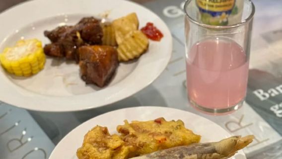 Voucher para o Lounge VIP no Aeroporto Internacional de Ixtapa-Zihuatanejo, México (ZIH) | Lounge VIP para voos domésticos/internacionais | Partidas/Conexões/Pernoite