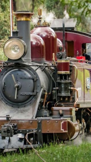 1-day tour to Melbourne's Puffing Billy Railway and Phillip Island (English-speaking premium group | penguin island)
