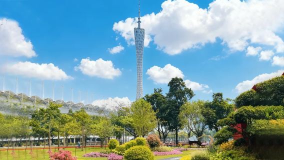 Passeio privativo de 1 dia em Cantão ● Bairro Yongqing + Shamian + Parque Yuexiu + Haixinsha + Torre de Cantão