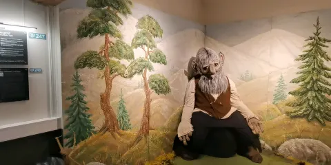 挪威|特羅姆瑟-北極大教堂+植物園+弗羅伊恩纜車-日遊-奔赴