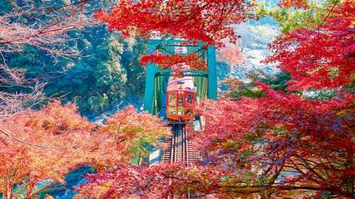 京都貴船神社+嵐山+竹林の小径ワンデーツアー【9名様限定少人数ツアー】