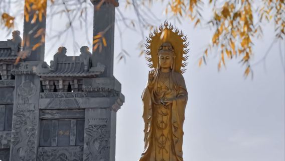 張掖+山丹大佛寺+焉支山森林公園一日遊【純玩|無購物|當地老司機】