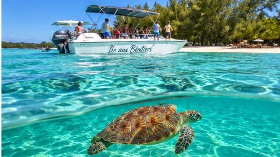 Mauritius: Île aux Bénitiers Dolphin watching All Inclusive