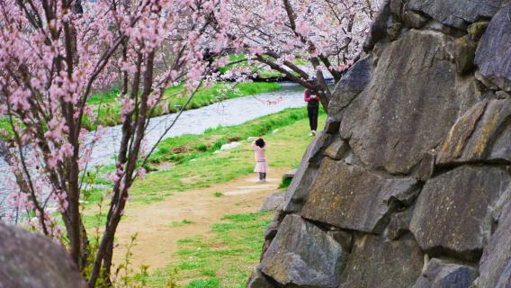 Matsumoto Castle, Sake & Local Bites Walking Tour