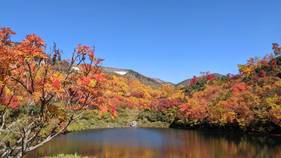 日本札幌-大雪山國立公園-旭岳-層雲峽【中文包車-舒適純淨】