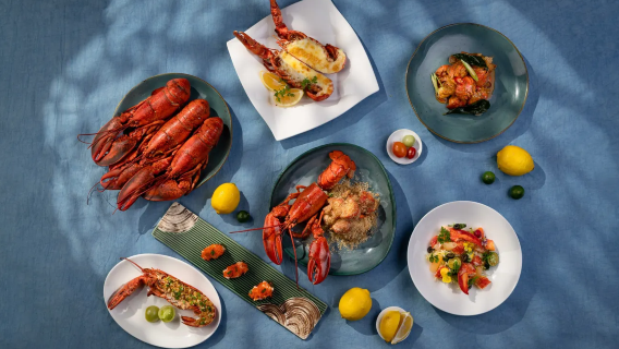 [Kulinarische Angebote] Gastronomie im Four Seasons Hotel Shenzhen | Mittagsbuffet Abendbuffet | 'Fu' Restaurant | All-you-can-eat im Songyi Japanischen Restaurant | Zhuoyue Xuan