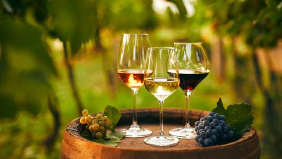 Cappadocia: Vineyard & Wine Tasting Among Fairy Chimneys