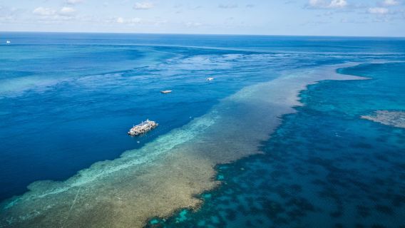 Tour di un giorno alla Grande barriera corallina di Hardy Reef alle Isole Whitsunday (partenza da Isola di Hamilton)