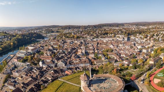 Från Zürich: Guidad privat rundtur till Rhenfallen och Stein am Rhein