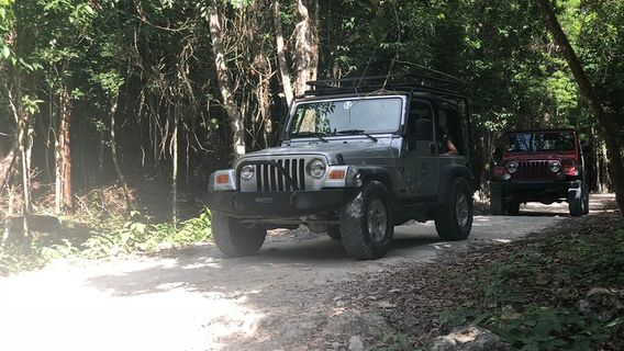 Mayan Jungle Jeep to Jade Cavern Cenote and Snorkel Adventure