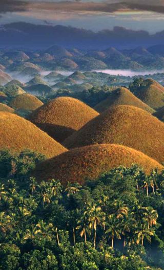From Cebu: Bohol Island countryside 1-day tour | Chocolate Hills + Loboc River + Tarsier, etc.