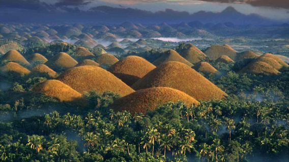 Départ de Cebu : Excursion d'une journée dans la campagne de Bohol | Collines de chocolat + rivière Loboc + tarsier, etc.