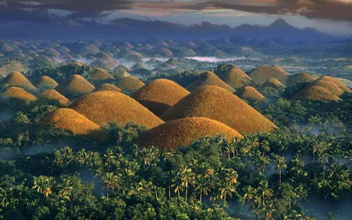 From Cebu: Bohol Island countryside 1-day tour | Chocolate Hills +
