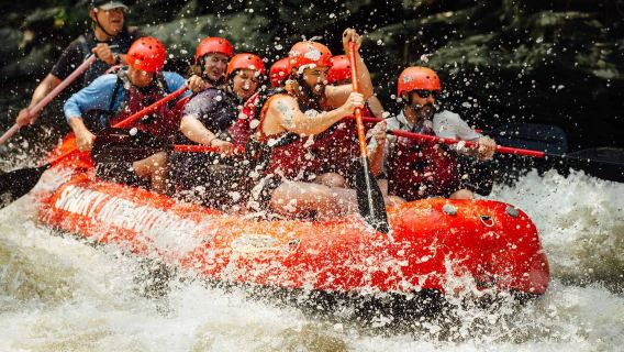 Экскурсия на полдня по реке Баррон в Кэрнсе (река Талли/пневматический тюбинг по желанию, трансфер из отеля по желанию)