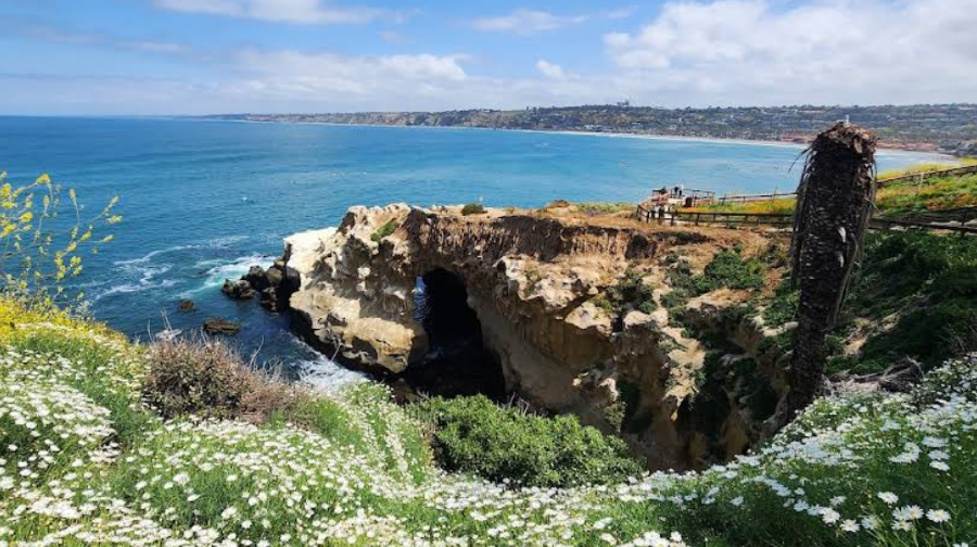 美國聖地牙哥海洋世界+聖地牙哥老城+拉霍亞海灣+拉霍亞海岸