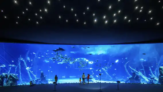 Poema del Mar - Aquarium Gran Canaria: Skip The Line Ticket