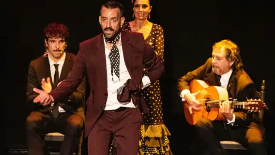 Alsa Seville: 48-Hr Hop-on Hop-off Bus, Walking Tour, Cruise + Flamenco Show