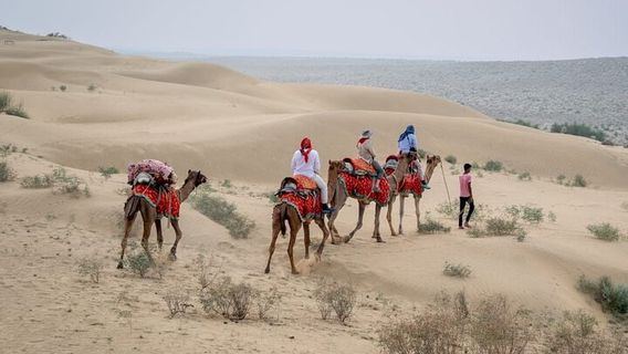 JaisalmerTours