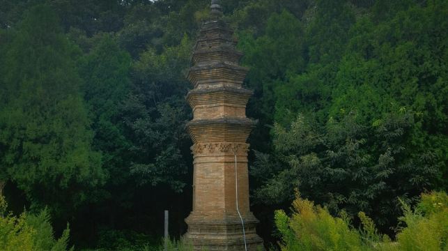 嵩山中嶽廟-少室闕+嵩陽書院-法王寺包車一日遊可中英文服務