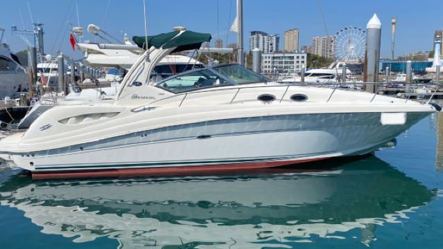 【大連遊艇】大連東港英姿38英尺美國進口遊艇包船出海+遊艇自駕體驗+海鷗投餵