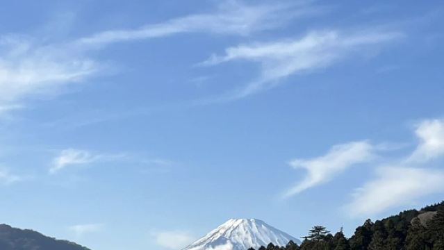 日本東京+蘆之湖遊船+ 大湧谷一日遊/行程可調-可定制多日