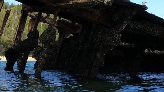 Moreton Island Shipwreck Cruise (Brisbane/Gold Coast Departure) 14070