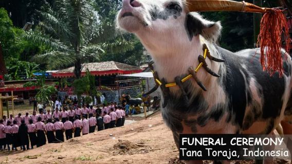 Toraja Tour 3 Days From Makassar to Explore Ancient Culture and Nature Beauty