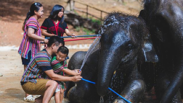 普吉島芭東擁抱大象保護營【中文導遊｜大象互動｜全島接駁】
