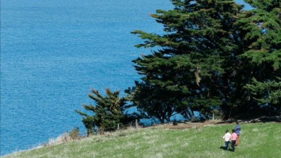 【普通話小團】紐西蘭南島皇后鎮瓦納卡+箭鎮+克倫威爾一日遊