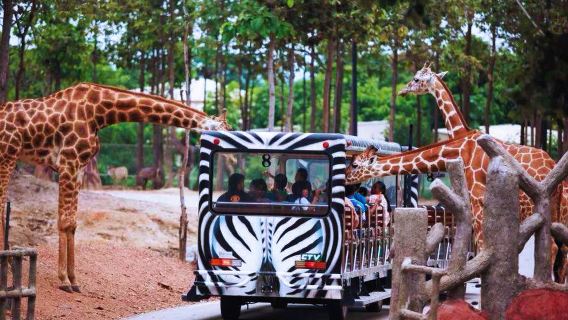 チェンマイ・ドイステープのプライベートカーツアー + ナイトサファリワンデーツアー