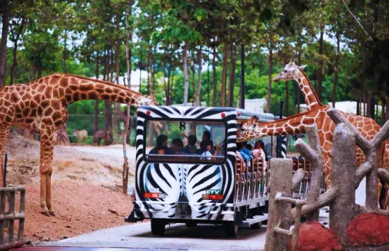 特價優惠-清邁素貼山+夜間野生動物園一日遊|獨立團|酒店接送