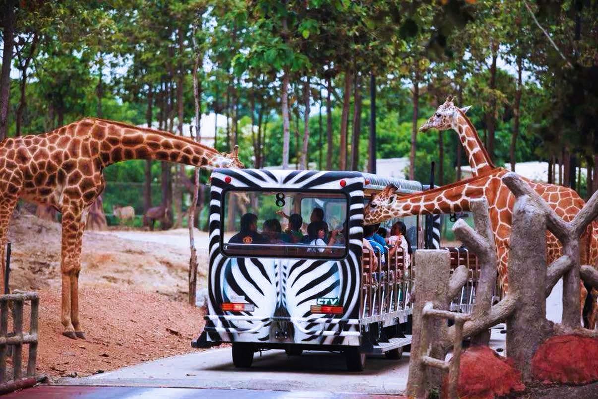 Offerta speciale per il Capodanno - Tour di un giorno a Chiang Mai: Doi Suthep e Safari notturno|Reggimento Indipendente|Trasferimento dall'hotel