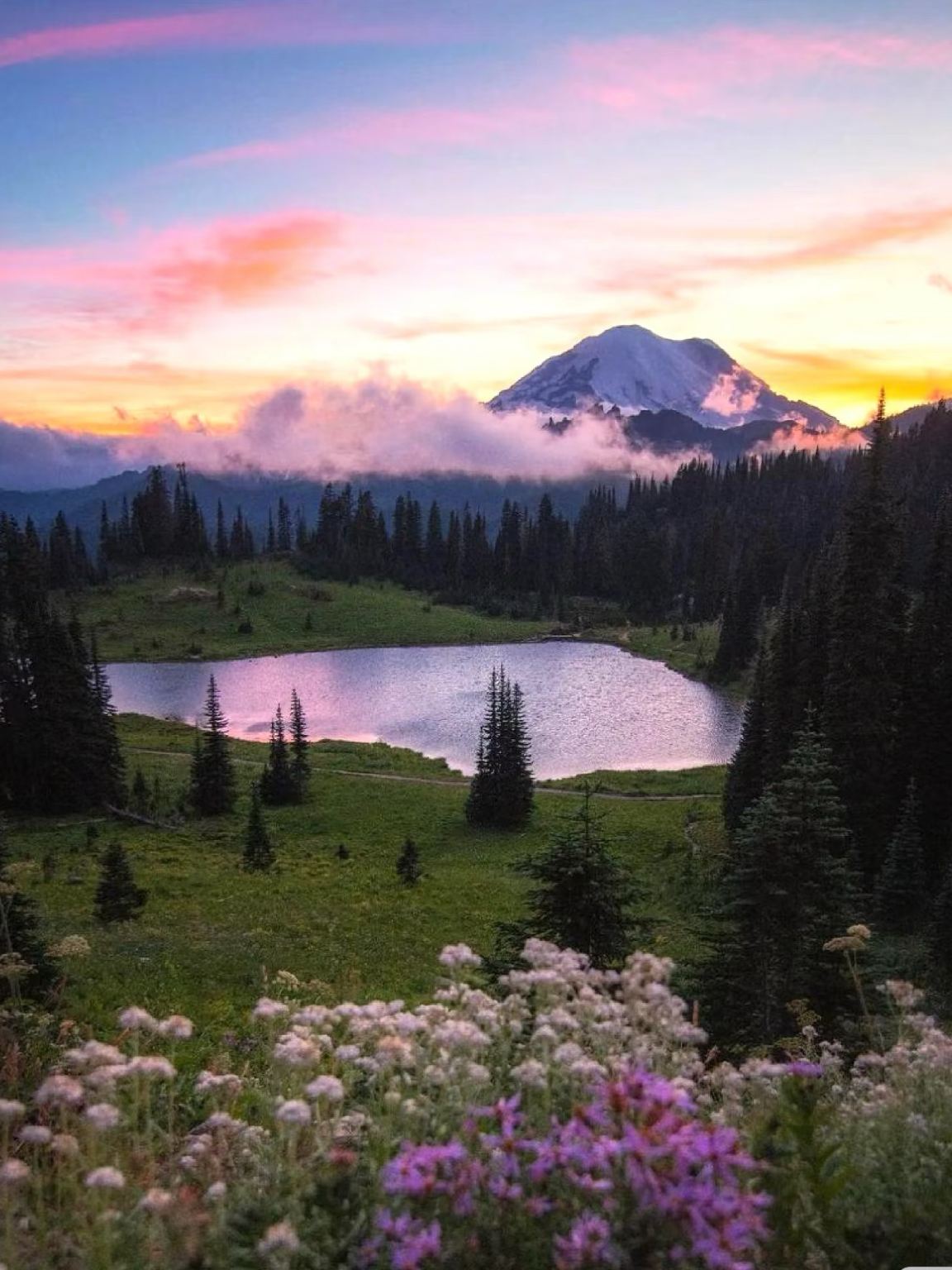 Seattle Departure - Mount Rainier National Park 1-day Tour [10-hour Private Car Service]