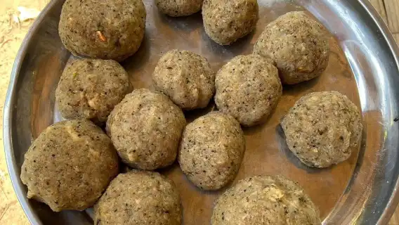 雄偉大象計畫|清邁一日友善大象參觀與泛舟