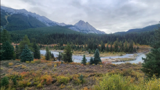Excursión de un excursión de un día al cañón Johnston, ida y vuelta , Calgary/Banff