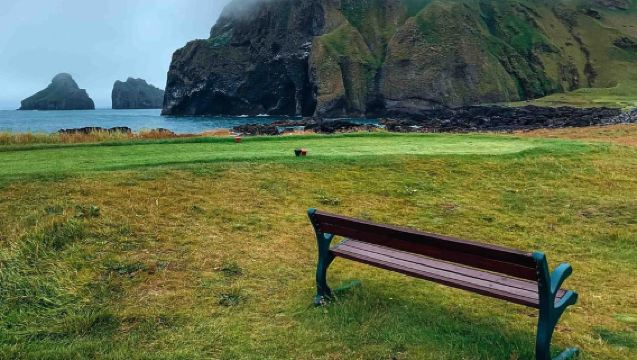 From Reykjavik: Puffin and Volcano Tour in Westman Islands