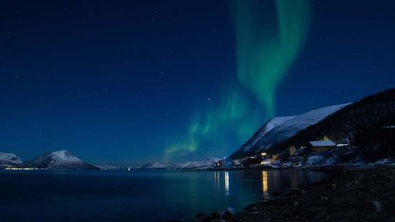 Tromsø: Lyngen Horse Winter Evening Riding Experience