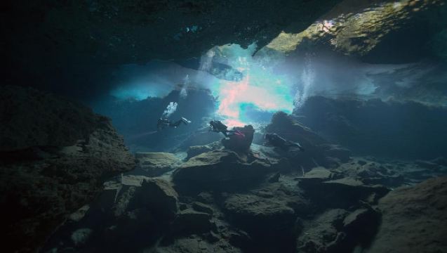 Private Cenote Diving from Playa del Carmen and Tulum
