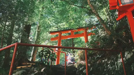 日本京都三千院+貴船神社+嵐山一日遊【9人小團接送可選】