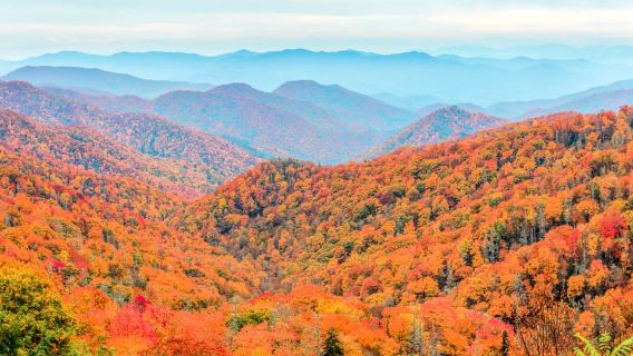 Pigeon Forge: tour guidato tra cultura e storia di Cade's Cove