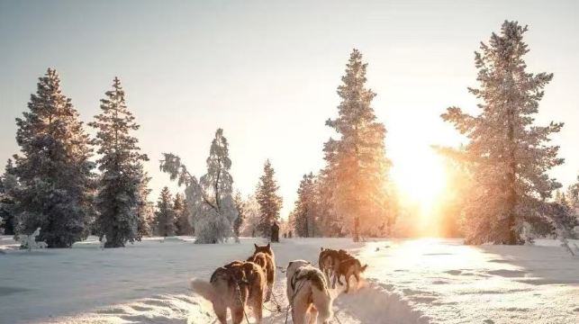 芬蘭羅瓦涅米聖誕老人村+雪橇之旅【中文司機+諮詢優惠】